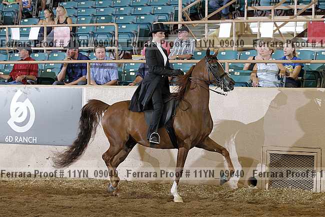 Proof 11yn_09040