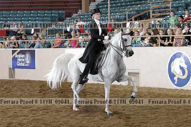 Proof 11yn_09041