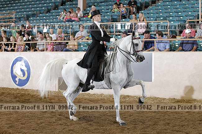 Proof 11yn_09042