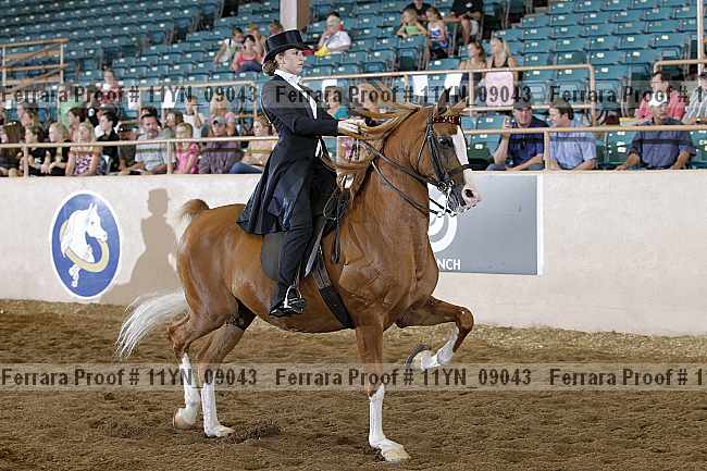 Proof 11yn_09043