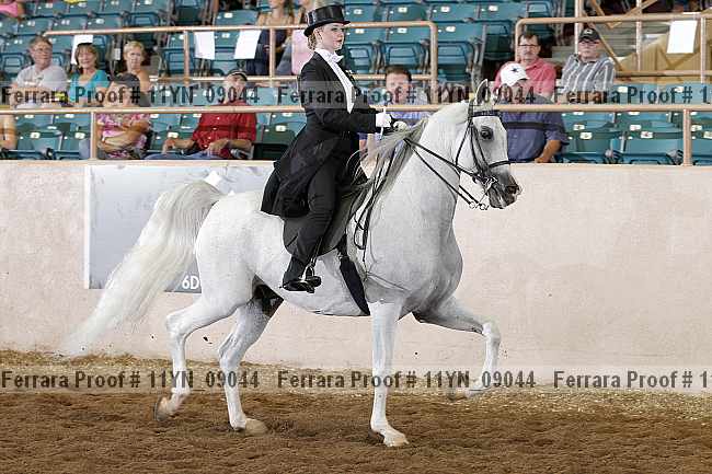 Proof 11yn_09044