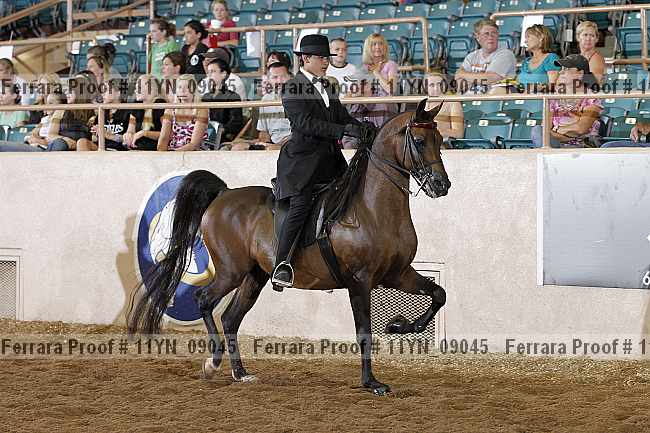 Proof 11yn_09045