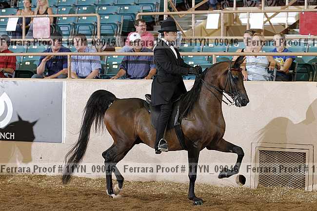 Proof 11yn_09046