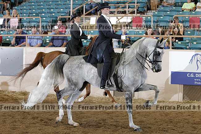 Proof 11yn_09048