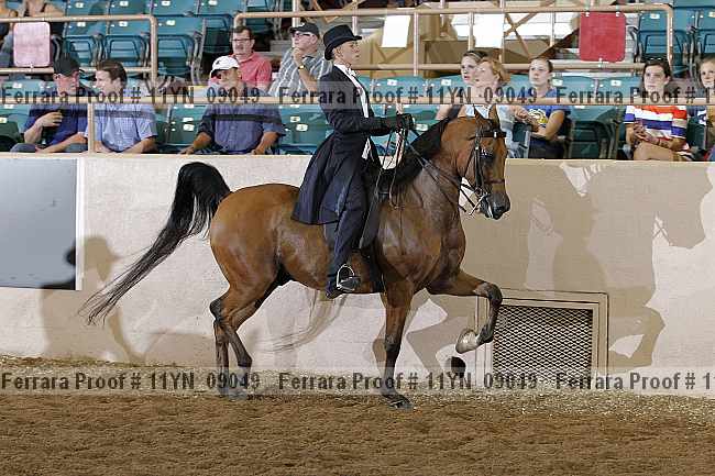 Proof 11yn_09049
