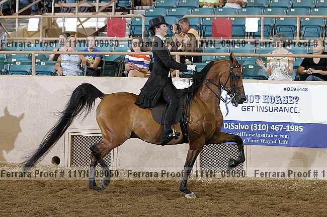 Proof 11yn_09050