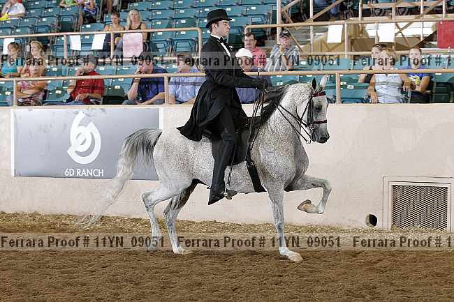 Proof 11yn_09051
