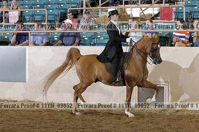 Proof 11yn_09052