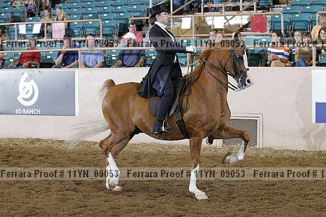 Proof 11yn_09053
