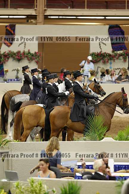 Proof 11yn_09055