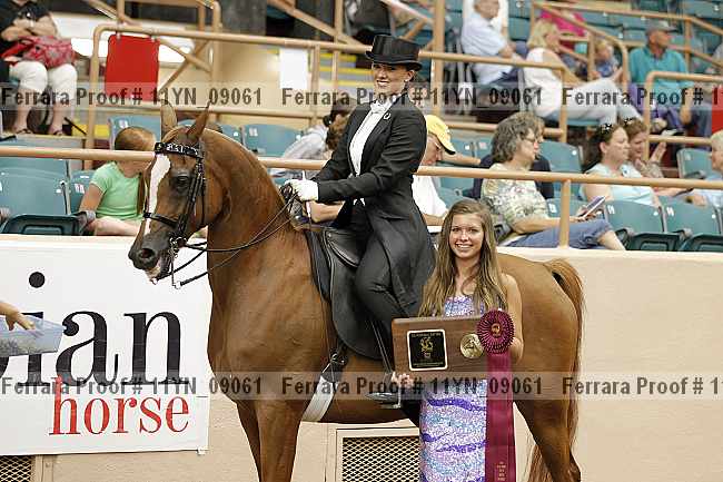 Proof 11yn_09061