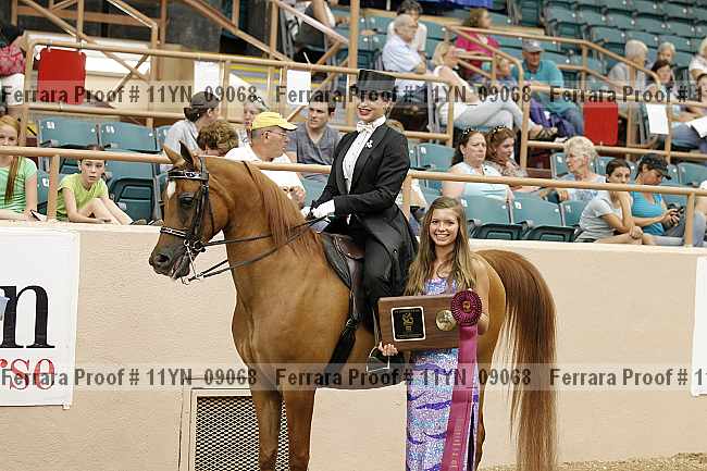 Proof 11yn_09068