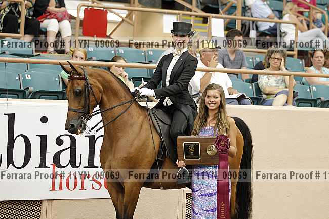 Proof 11yn_09069