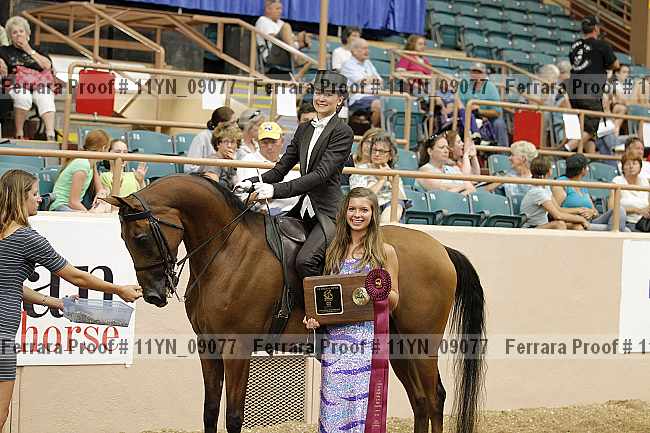 Proof 11yn_09077