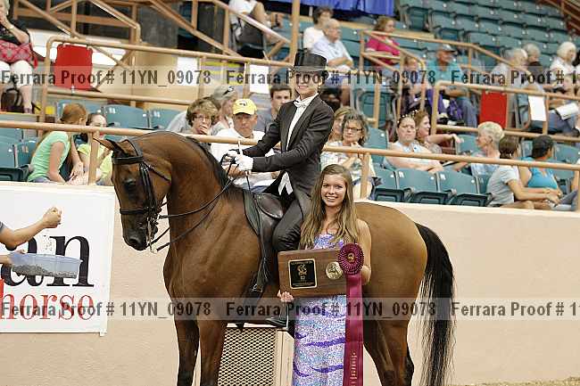 Proof 11yn_09078