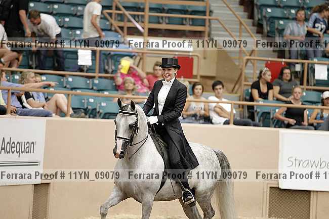 Proof 11yn_09079