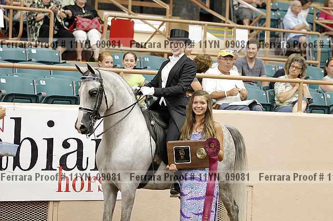 Proof 11yn_09081
