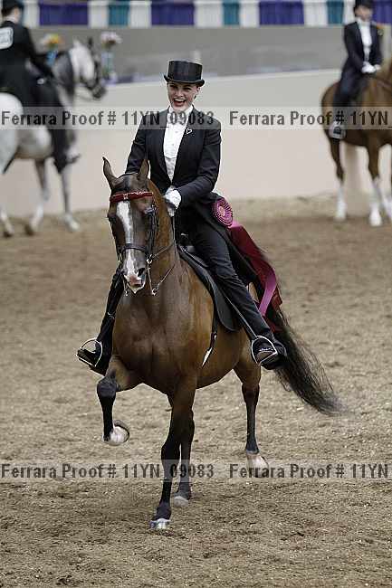 Proof 11yn_09083