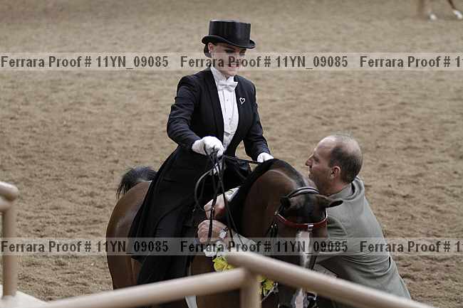 Proof 11yn_09085