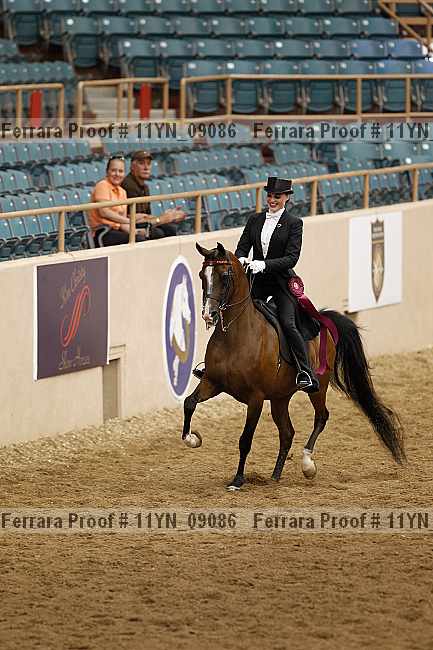 Proof 11yn_09086