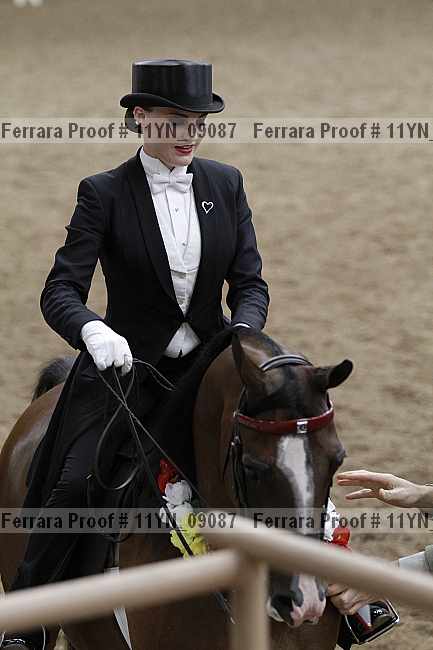 Proof 11yn_09087