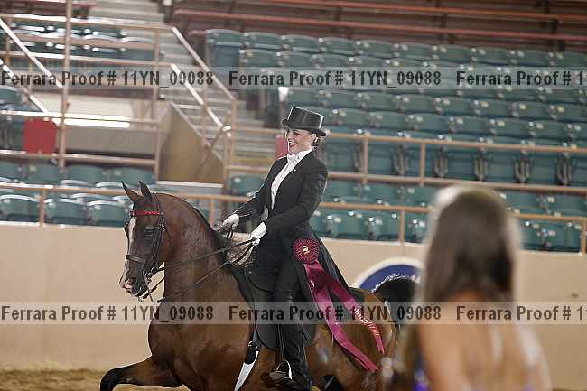 Proof 11yn_09088