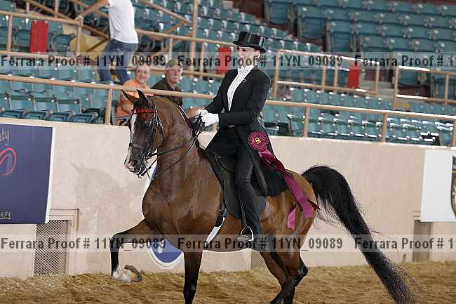 Proof 11yn_09089