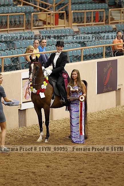 Proof 11yn_09095