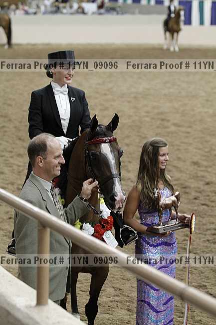 Proof 11yn_09096