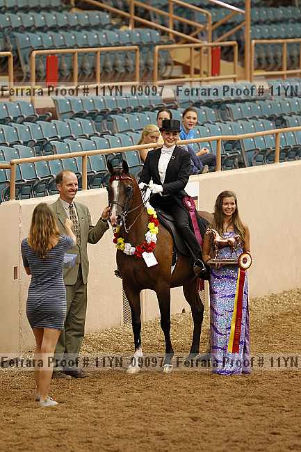 Proof 11yn_09097
