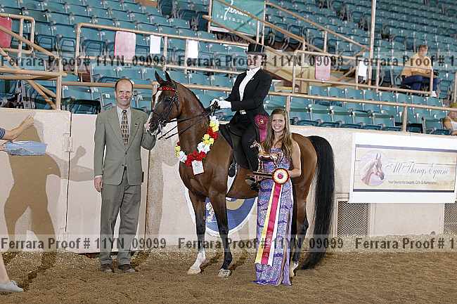 Proof 11yn_09099