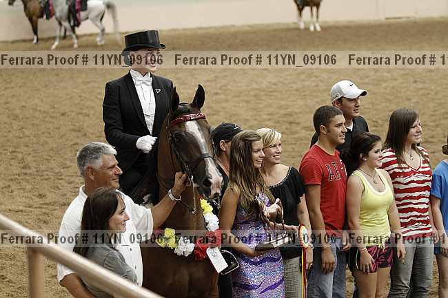 Proof 11yn_09106