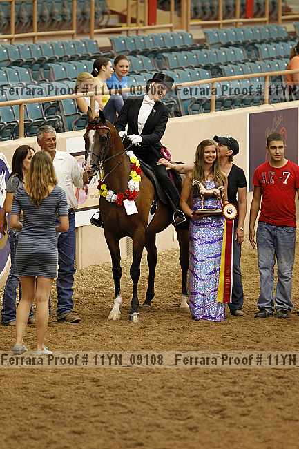 Proof 11yn_09108