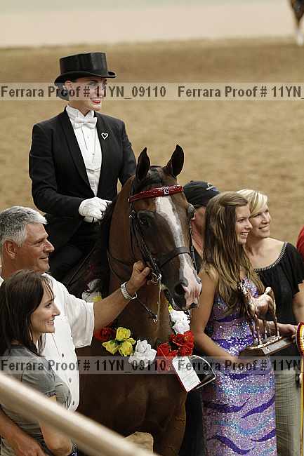 Proof 11yn_09110
