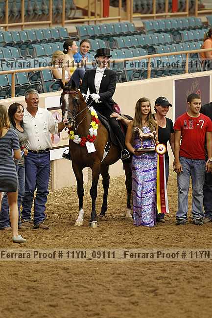 Proof 11yn_09111