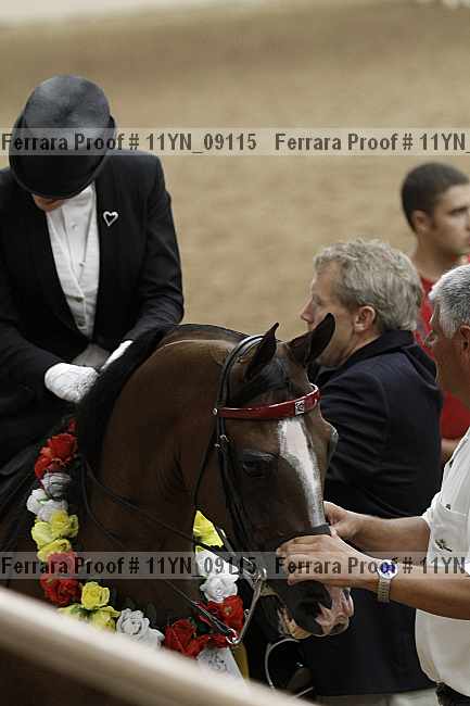 Proof 11yn_09115