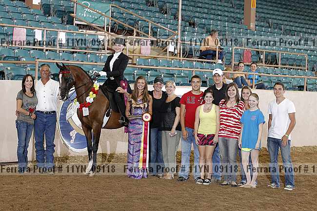 Proof 11yn_09118