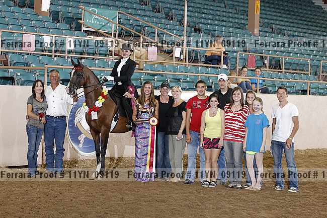 Proof 11yn_09119