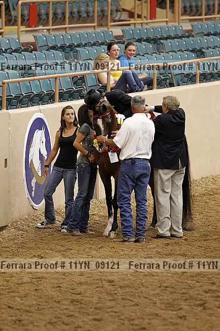 Proof 11yn_09121