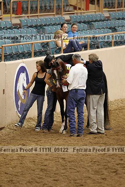 Proof 11yn_09122