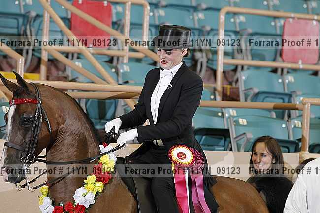 Proof 11yn_09123