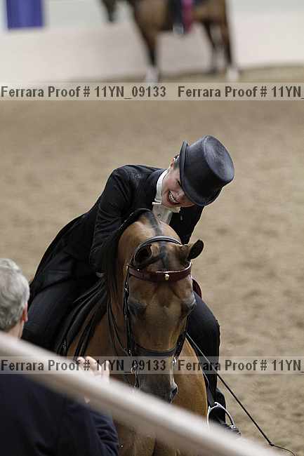 Proof 11yn_09133