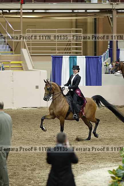 Proof 11yn_09135