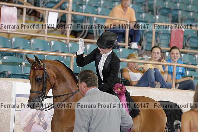 Proof 11yn_09147