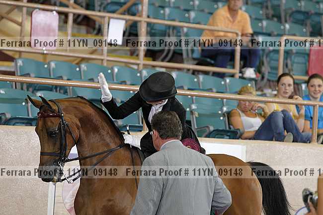 Proof 11yn_09148