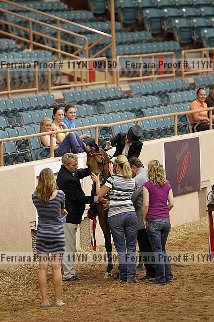Proof 11yn_09150