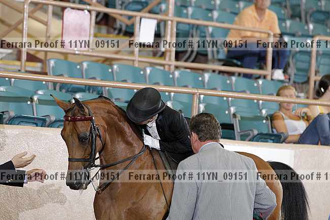 Proof 11yn_09151