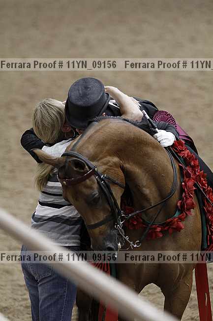 Proof 11yn_09156
