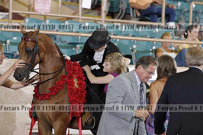 Proof 11yn_09157