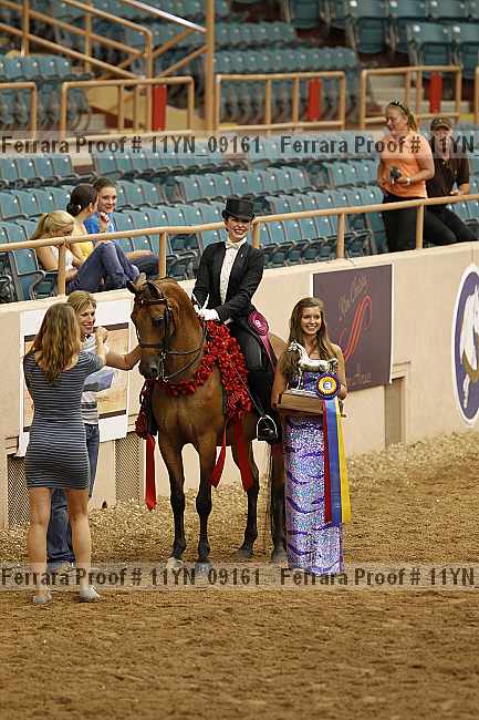 Proof 11yn_09161